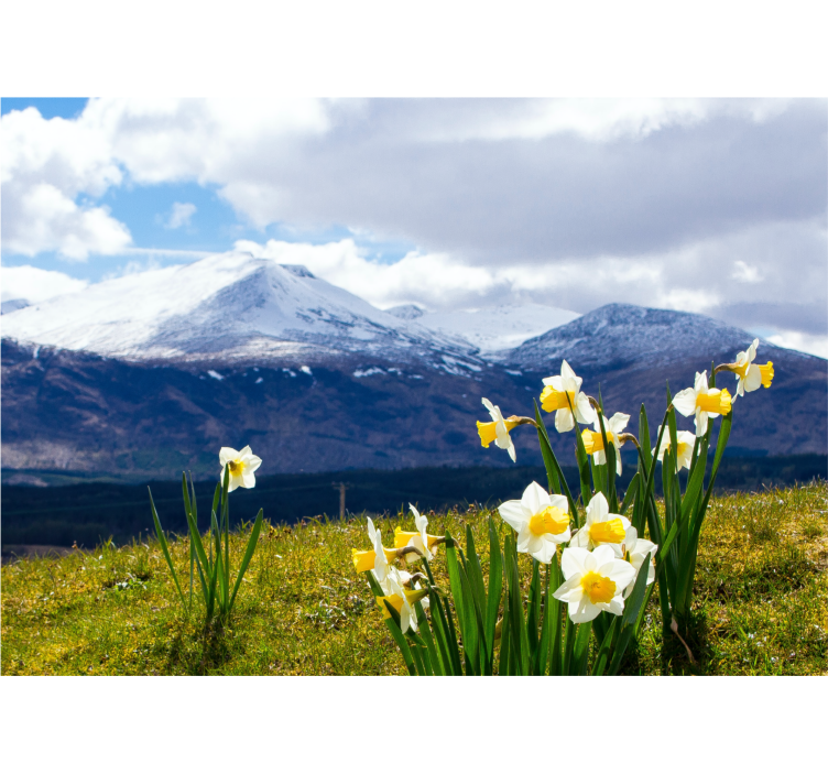 Daffodils on mountains flower wall mural - TenStickers