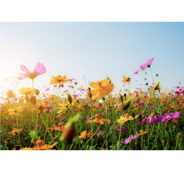 Colorful blooming flora flower wall mural - TenStickers