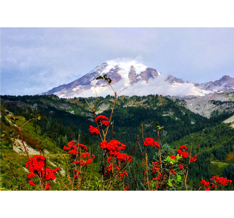 Landscape wall mural snow-capped mountain view - TenStickers
