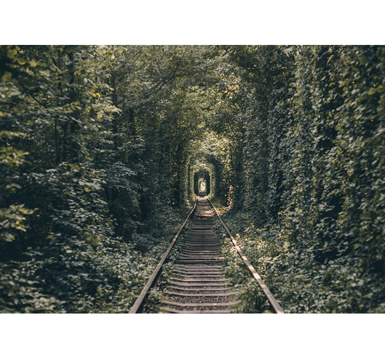 Landscape wall mural railway tunnel nature - TenStickers