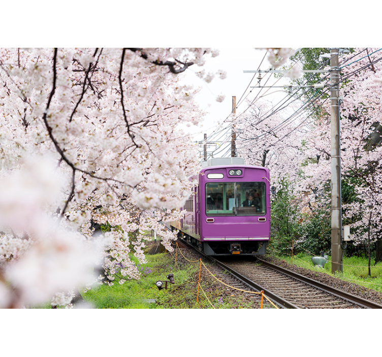 City wall mural cherry blossom train artwork - TenStickers
