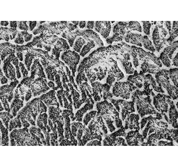 Organic texture pattern texture and pattern wall mural - TenStickers