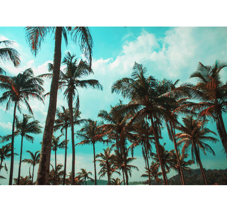 Nature wall mural tropical palm trees paradise - TenStickers