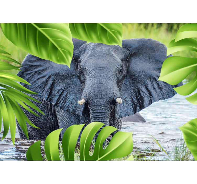 Animal wall mural regal elephant encounter - TenStickers