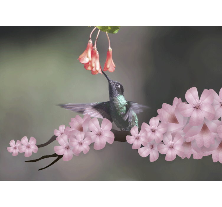 Hummingbird and blooms animal wall mural - TenStickers