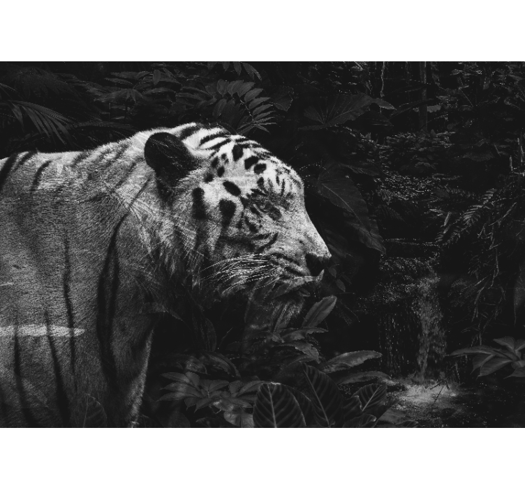 Majestic White Tiger animal wall mural - TenStickers