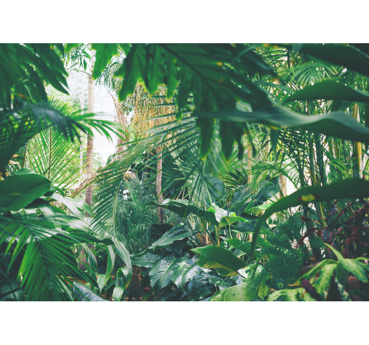 Jungle wall mural lush tropical paradise - TenStickers