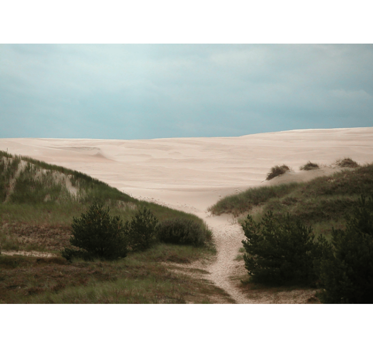 Sandy dune path landscape wall mural - TenStickers
