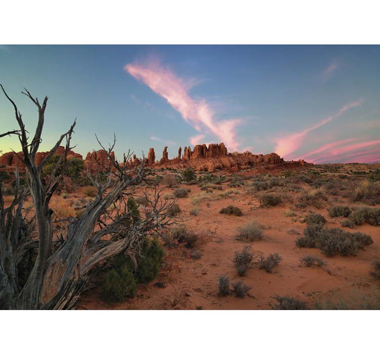 Landscape wall mural desert rock formations - TenStickers