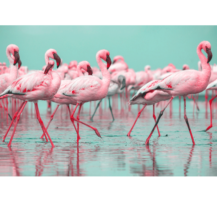 Animal wall mural flamingo flock walk - TenStickers