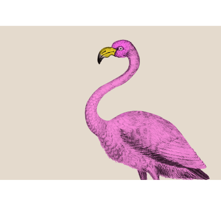 Vintage face of a flamingo wall mural - TenStickers