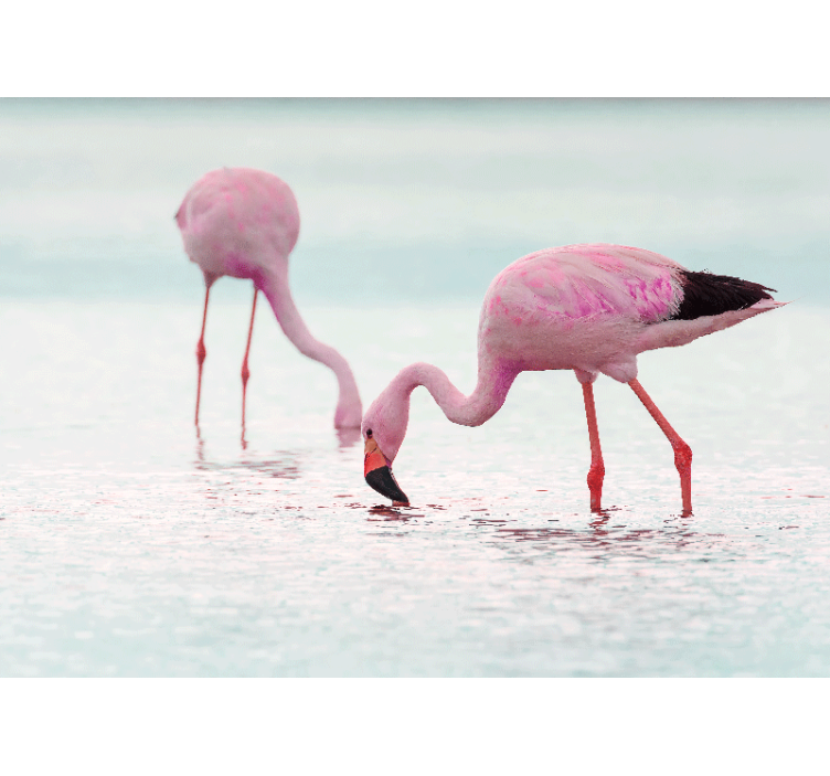 Animal wall mural flamingo feeding scene - TenStickers
