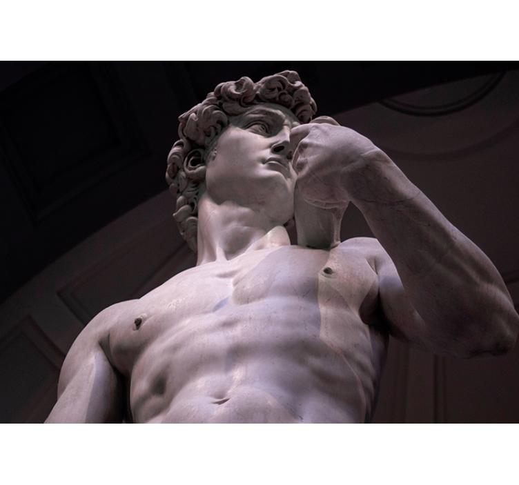 Classic art wall mural michelangelo's marble statue - TenStickers