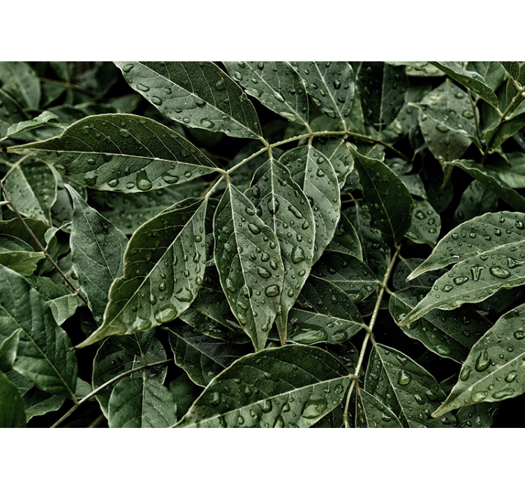 Nature wall mural vibrant leafy texture - TenStickers