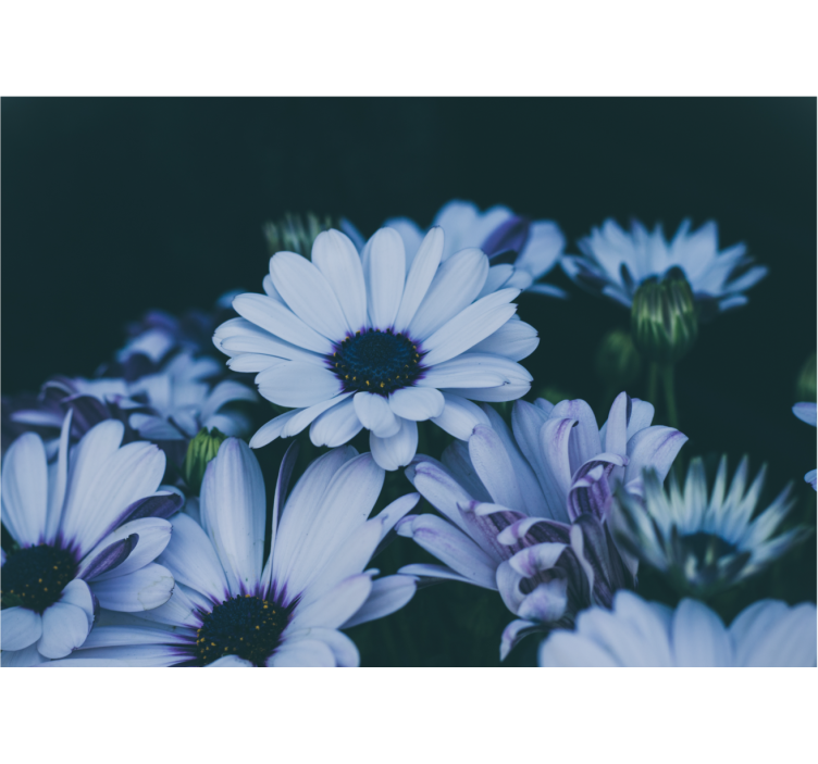 Flower wall mural serene floral design - TenStickers