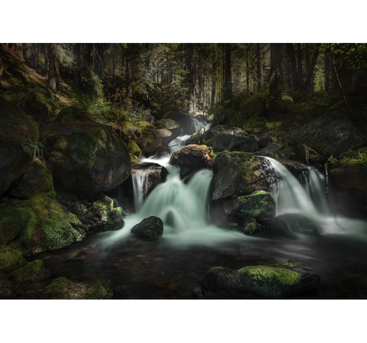 Waterfall wall mural tranquil forest stream - TenStickers