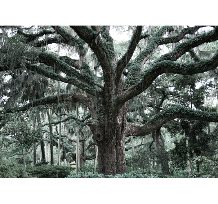 Majestic oak branches tree mural - TenStickers