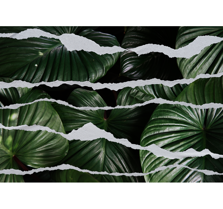 Nature wall mural lush leaf design - TenStickers