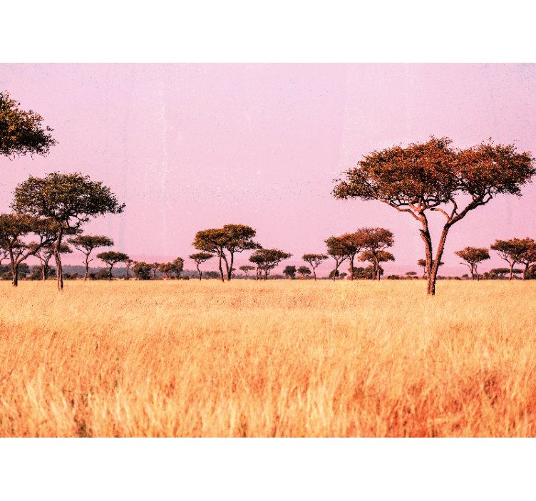 Serene savanna landscape landscape wall mural - TenStickers