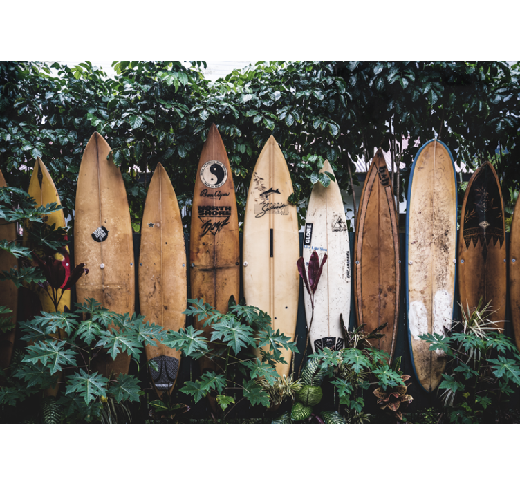 Vehicle wall mural surfboards for sale - TenStickers