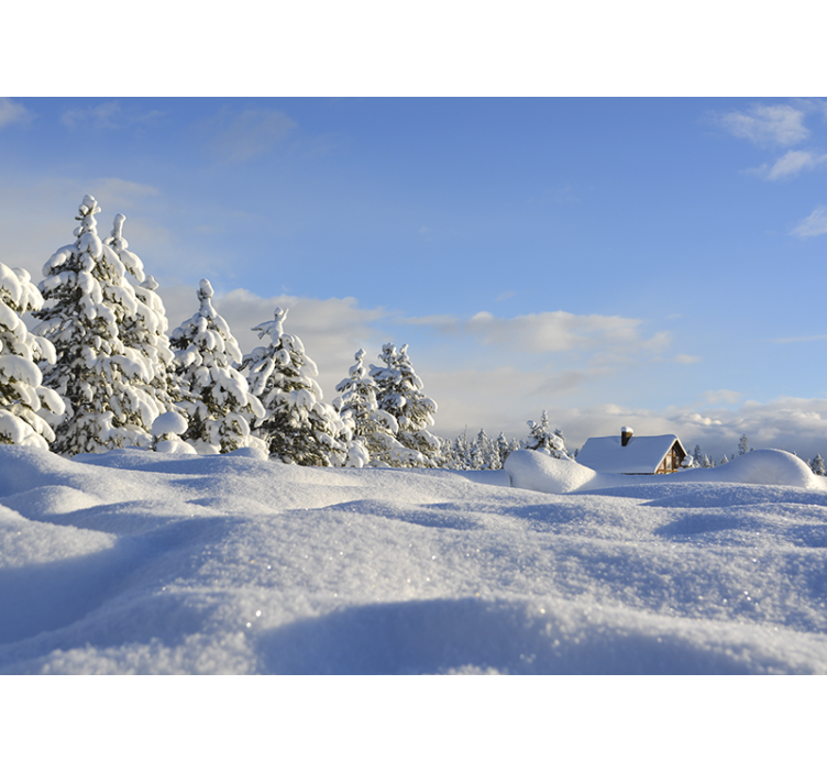 Landscape wall mural winter wonderland scene - TenStickers