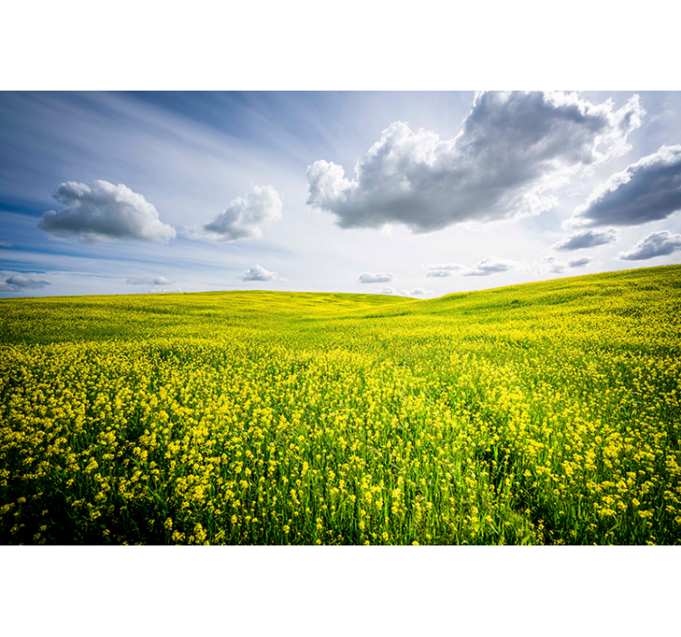 Nature wall mural vast green meadow - TenStickers