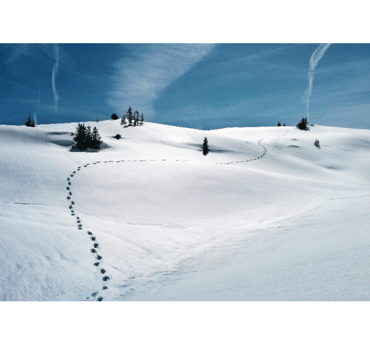 Mountain wall mural snowy mountain path - TenStickers