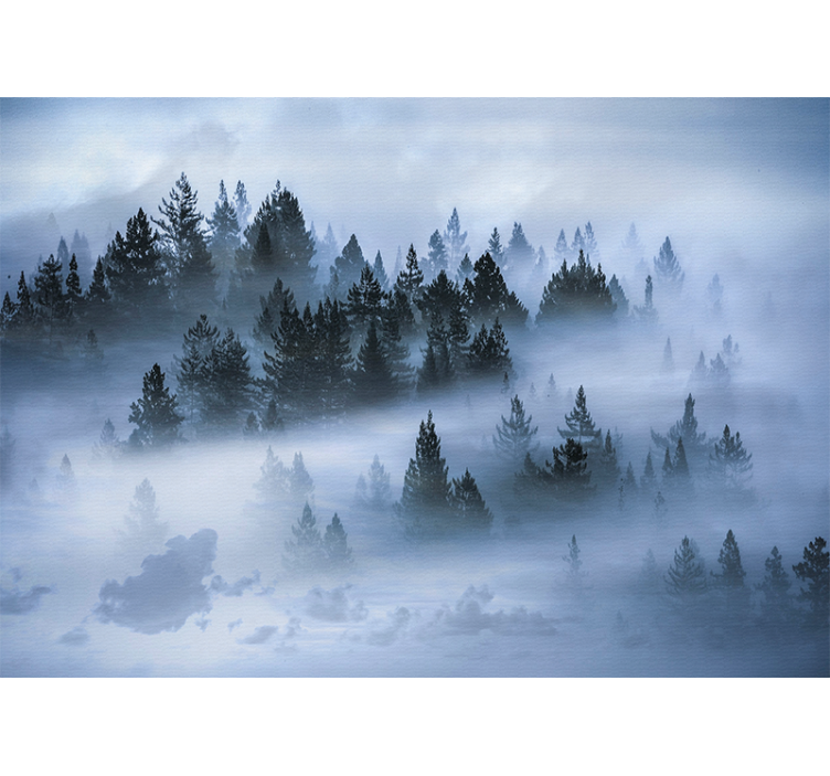 Nature wall mural hazy evergreen forest - TenStickers