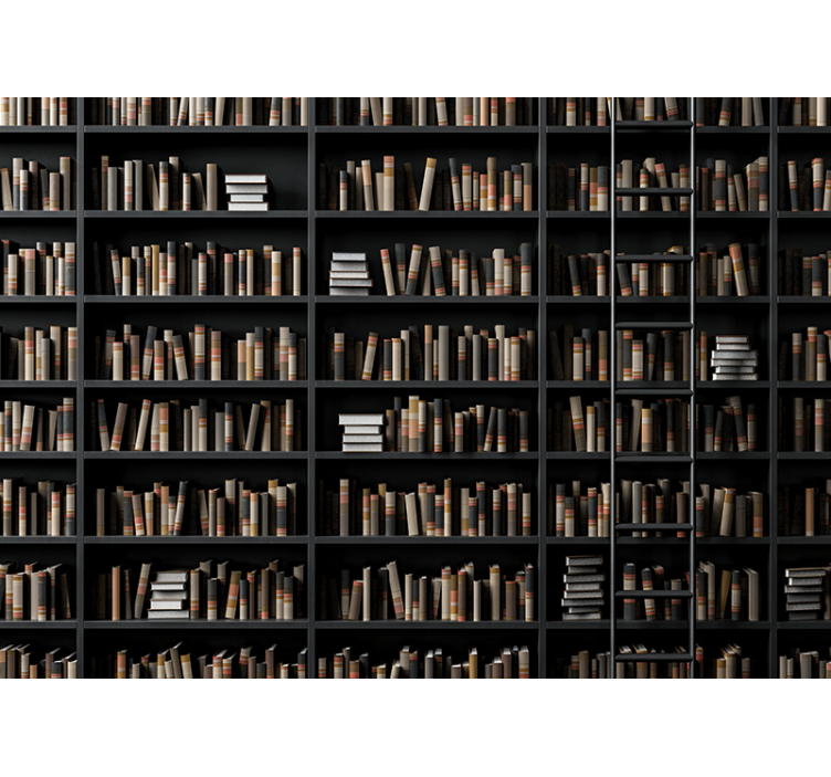 Stone wall mural library book collection - TenStickers