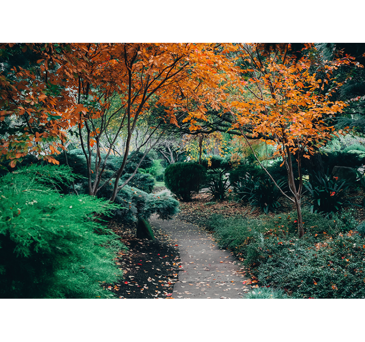 Nature wall mural pathway through trees - TenStickers