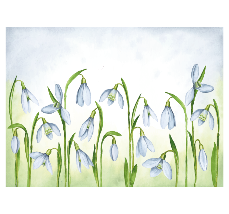 Snowdrop flora flower wall mural - TenStickers