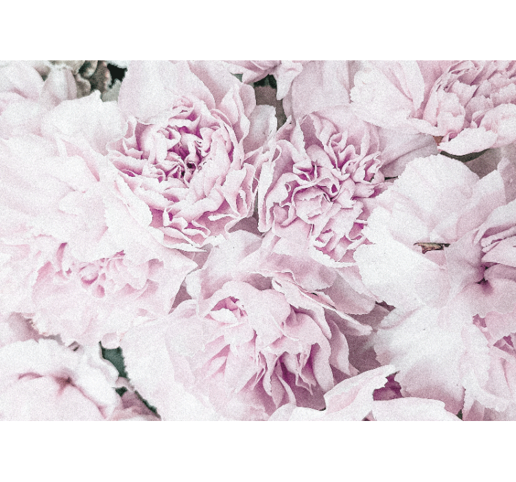 Flower wall mural soft pink blossoms - TenStickers