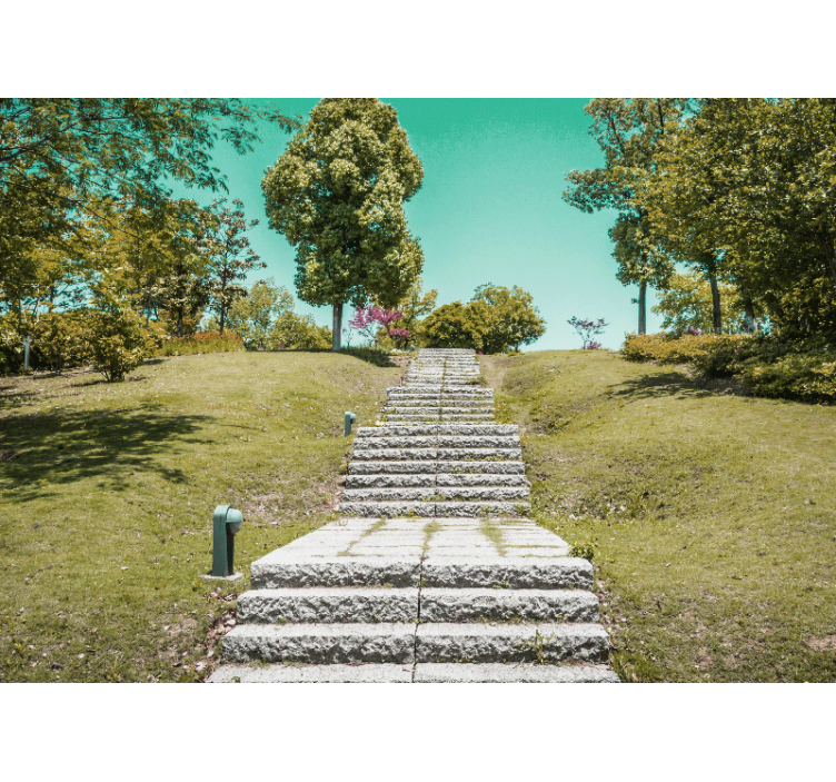 Nature wall mural staircase through nature - TenStickers