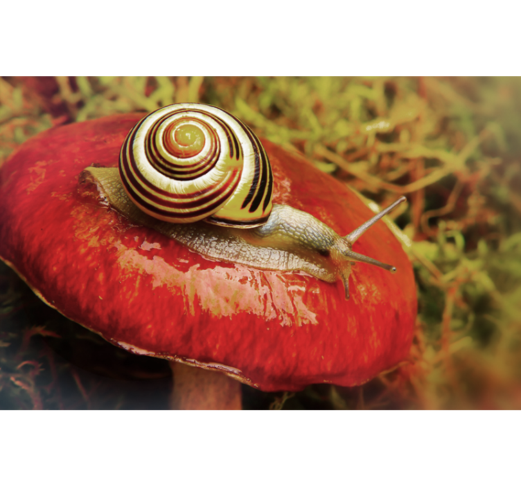 Animal wall mural snail on mushroom - TenStickers