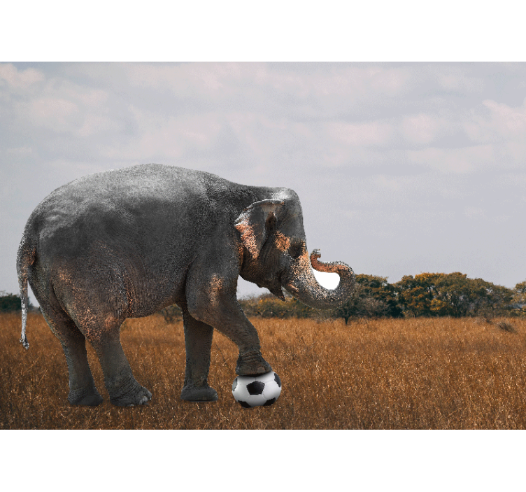 Animal wall mural elephant playing soccer - TenStickers