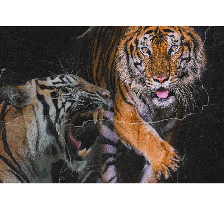 Animal wall mural majestic tiger encounter - TenStickers