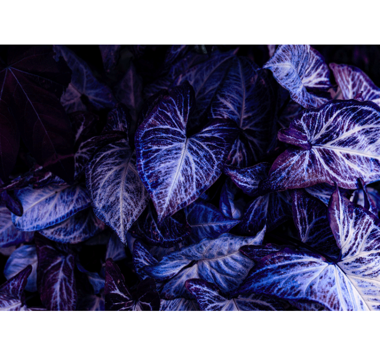 Purple Leaf Patterns living room wall mural - TenStickers