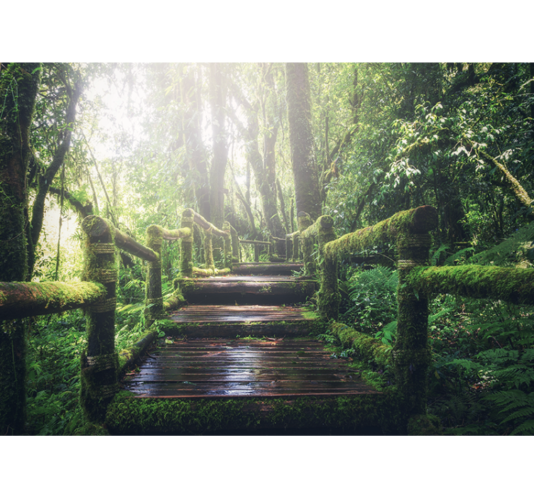 Nature wall mural lush woodland path - TenStickers
