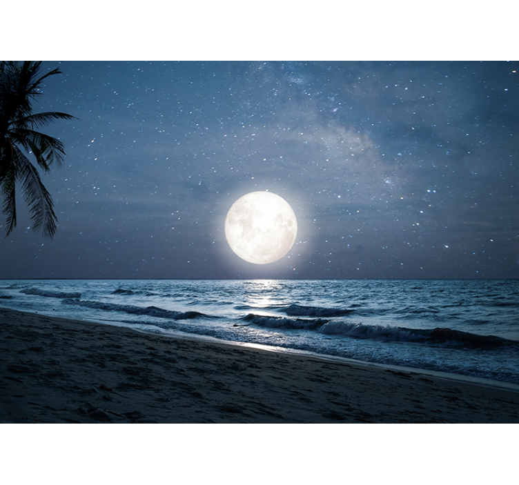 Nature wall mural bright moonlit ocean scene - TenStickers
