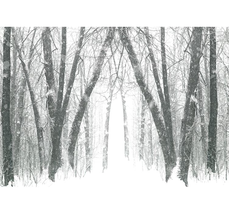 Forest wall mural snowy forest path - TenStickers