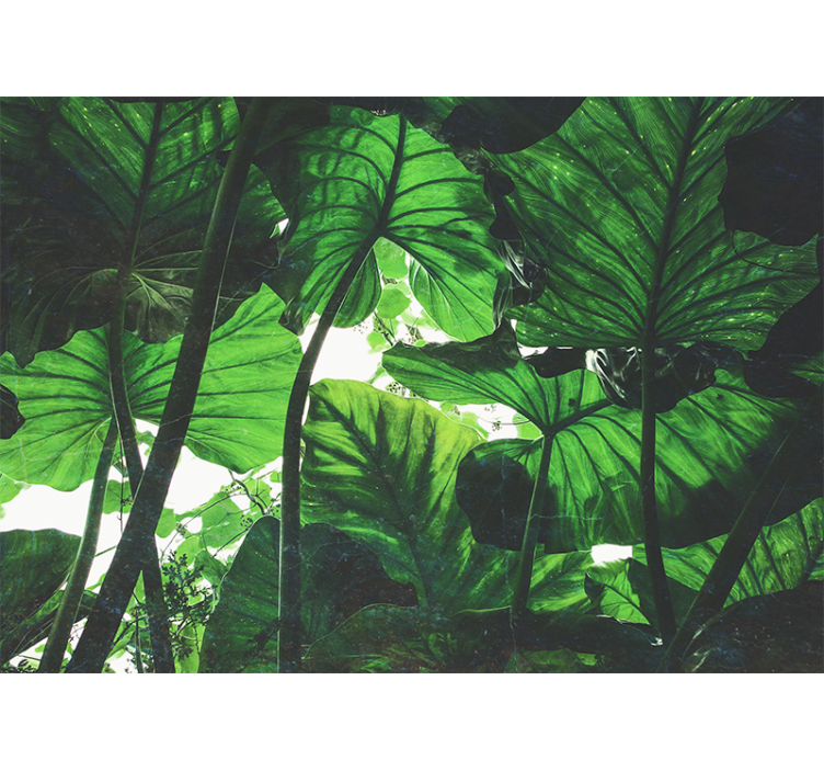 Nature wall mural lush leaf canopy - TenStickers