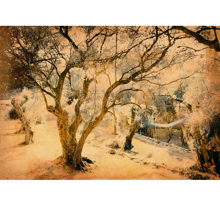 Forest wall mural golden olive trees - TenStickers