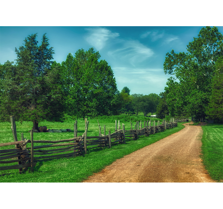 Landscape wall mural vibrant green pathway - TenStickers