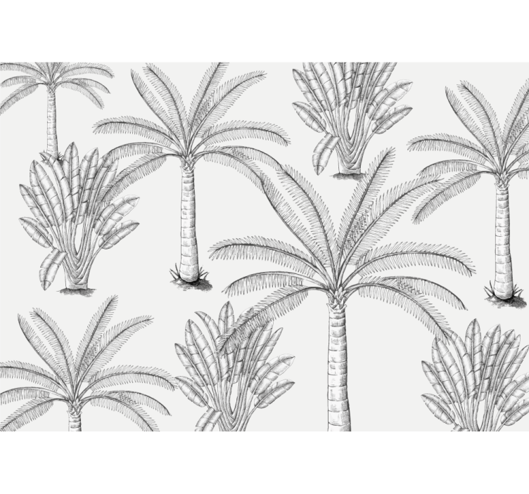 Tree mural palm tree illustrations - TenStickers