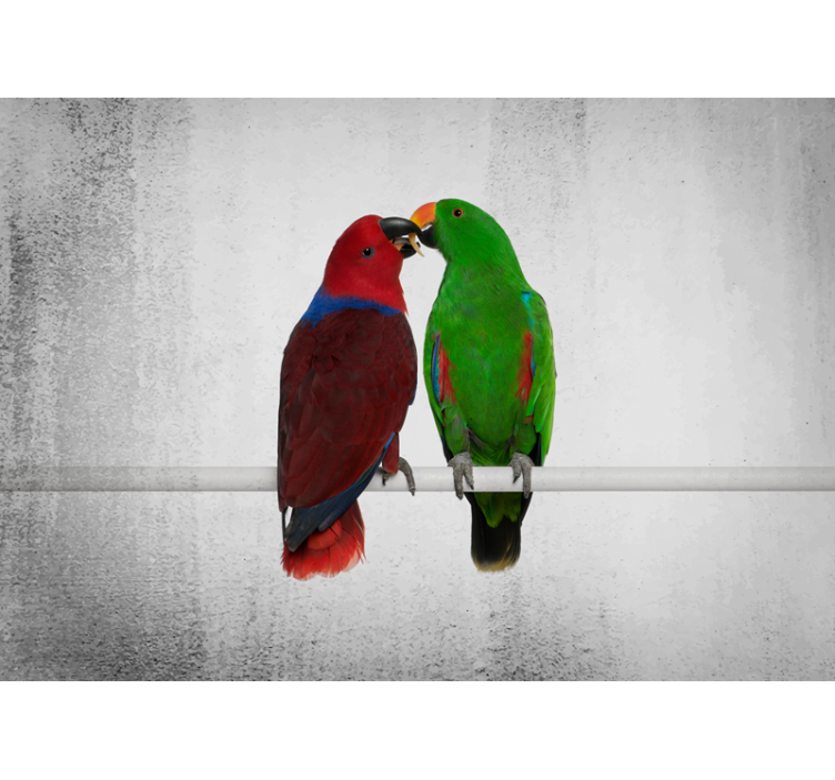 Animal wall mural colorful parrots interaction - TenStickers