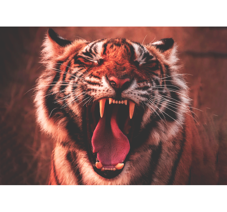 Animal wall mural majestic tiger roar - TenStickers