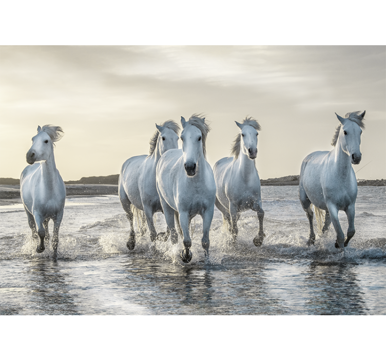 Animal wall mural galloping white stallions - TenStickers