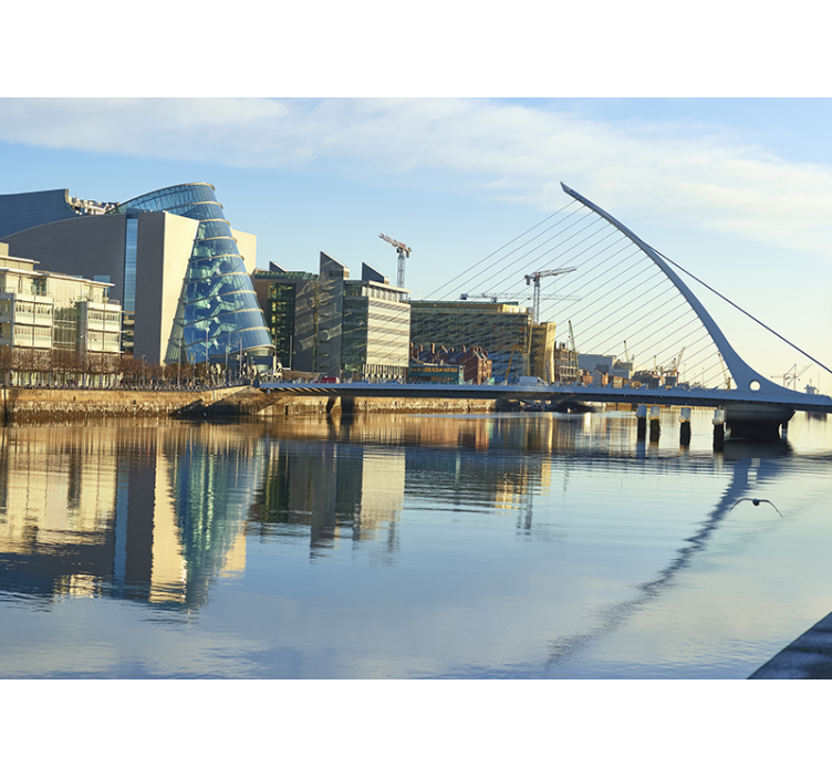 City wall mural Dublin river - TenStickers