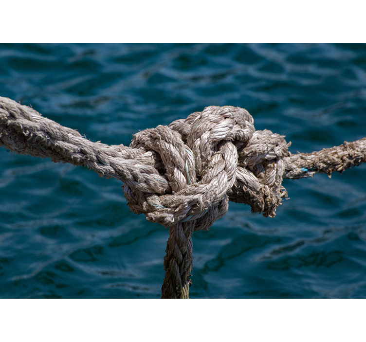 Nautical Knot Strength sea animals wall mural - TenStickers