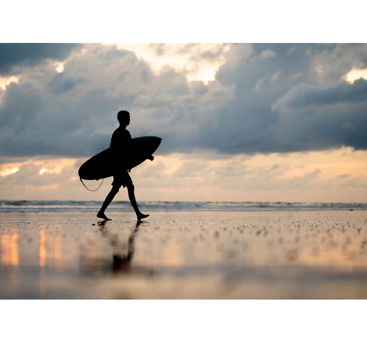 Surfer Silhouette sea animals wall mural - TenStickers